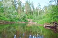 DSCF8069 — копия (2)